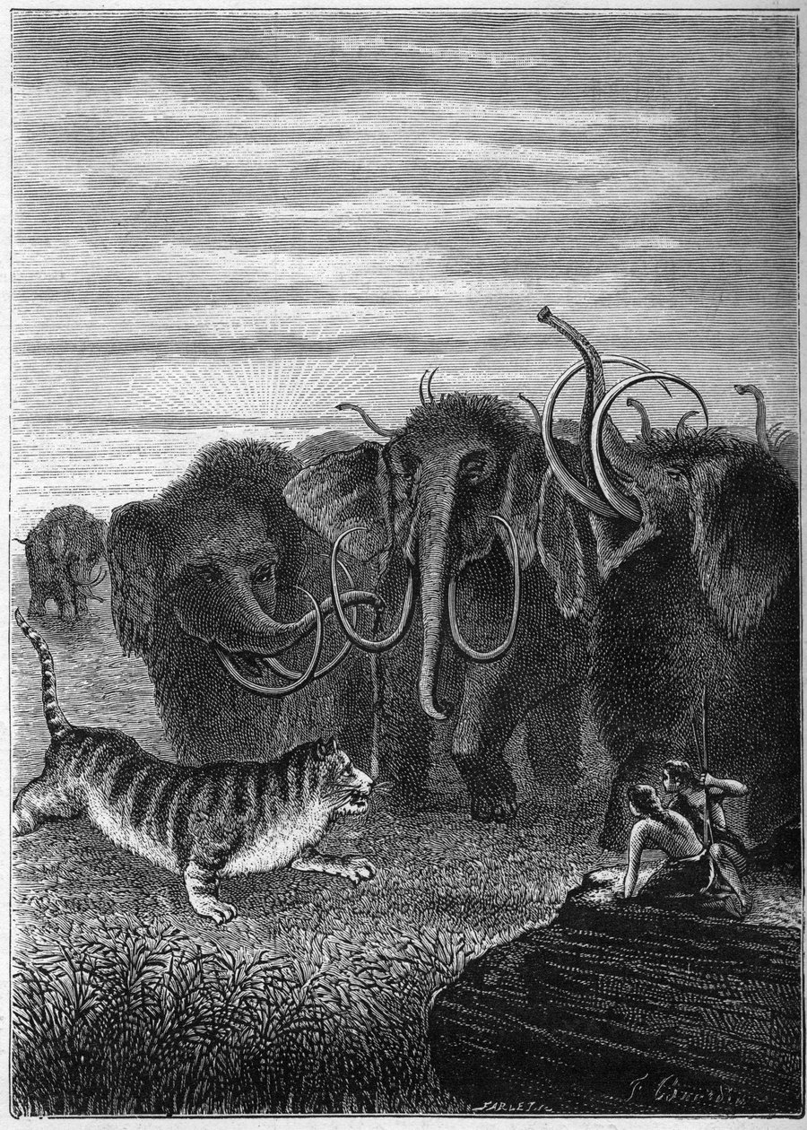 Pré-história: Mamutes e cavernas gigantes de gatos. Gravura de "Paris avant l