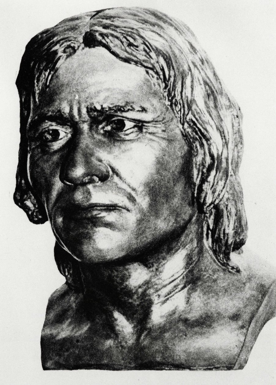 Pré-história: reconstrução do homem de Cro-Magnon (busto), depois de Mac Grégor. de Unknown artist