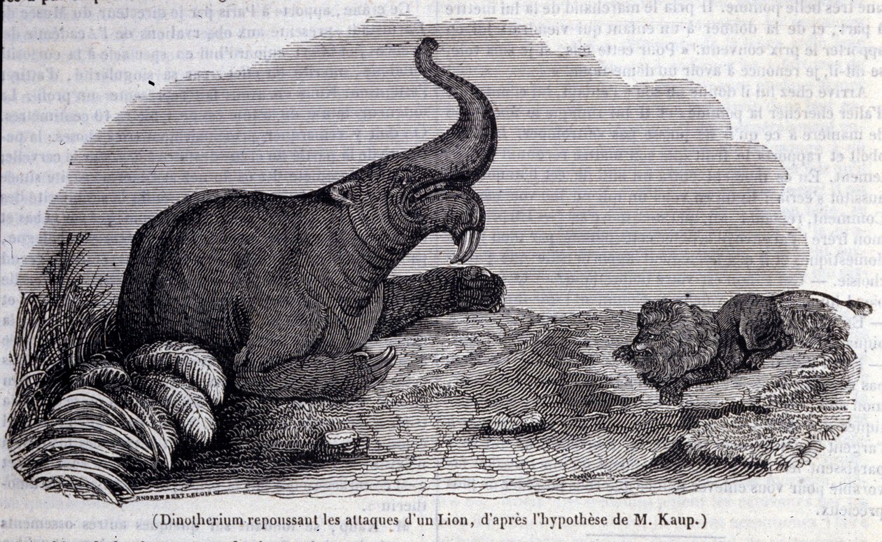 Pré-história: representação de um dinotério, tipo de pachiderm, repelindo o ataque de um leão. Gravura do século XIX de Unknown artist