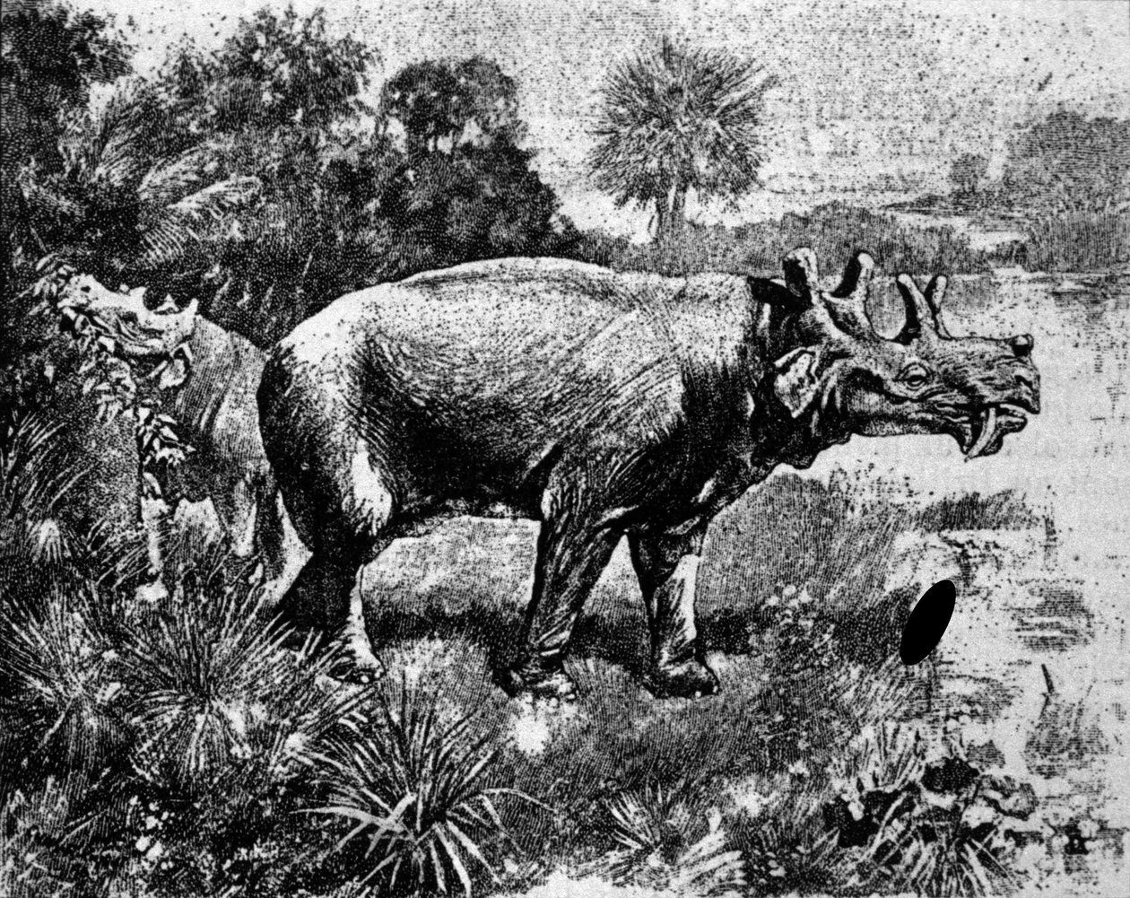 Pré-história: representação de um dinossauro Uintatherium de quatro chifres. de Unknown artist