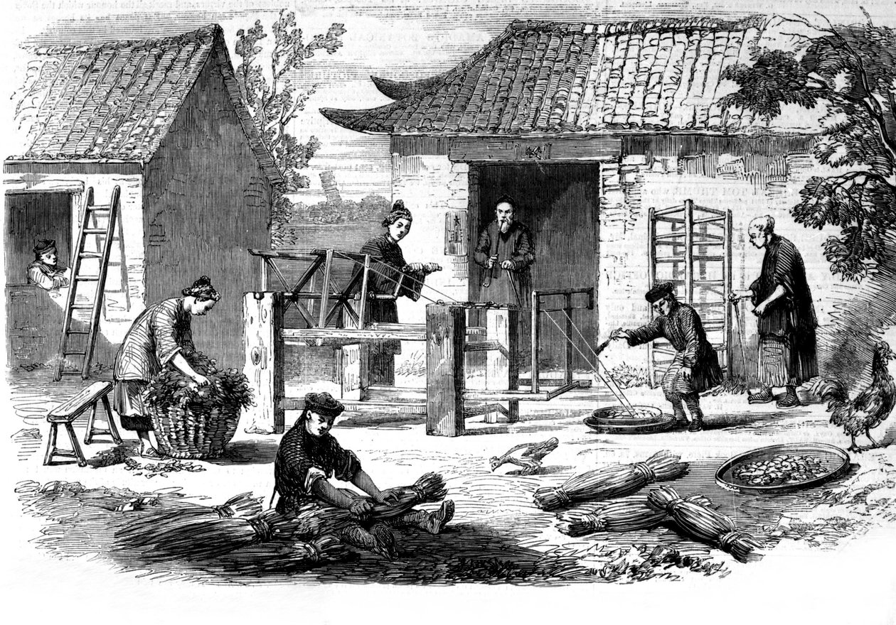 Produção de seda na China e as várias fases de fabricação. de Unknown artist