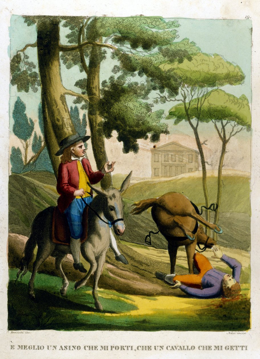 Provérbio: É melhor ser carregado por um burro do que atirado por um cavalo. de Unknown artist