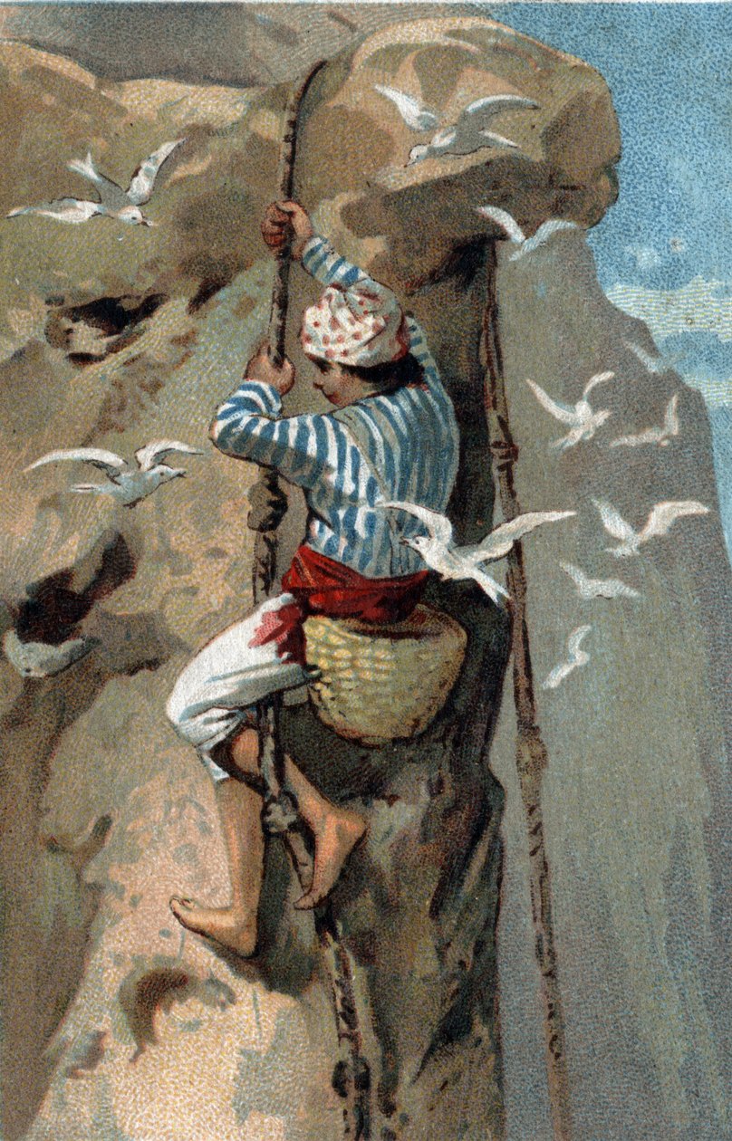 Recolha de ninhos de andorinhas de salanganga na Malásia. Cromolitografia do final do século XIX. de Unknown artist