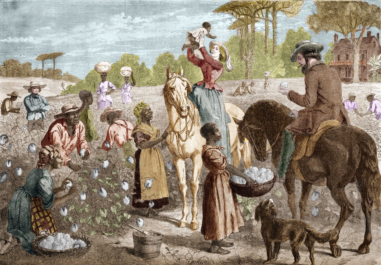 Algodão reciclado de uma casa no sul dos Estados Unidos, em 1864. de Unknown artist