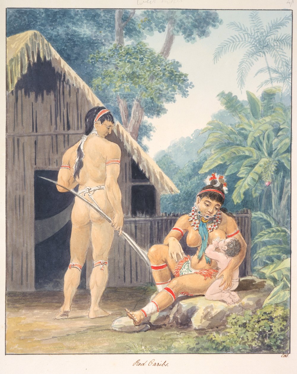 Caribes vermelhos, c.1843-50 (aguarela) de Unknown artist