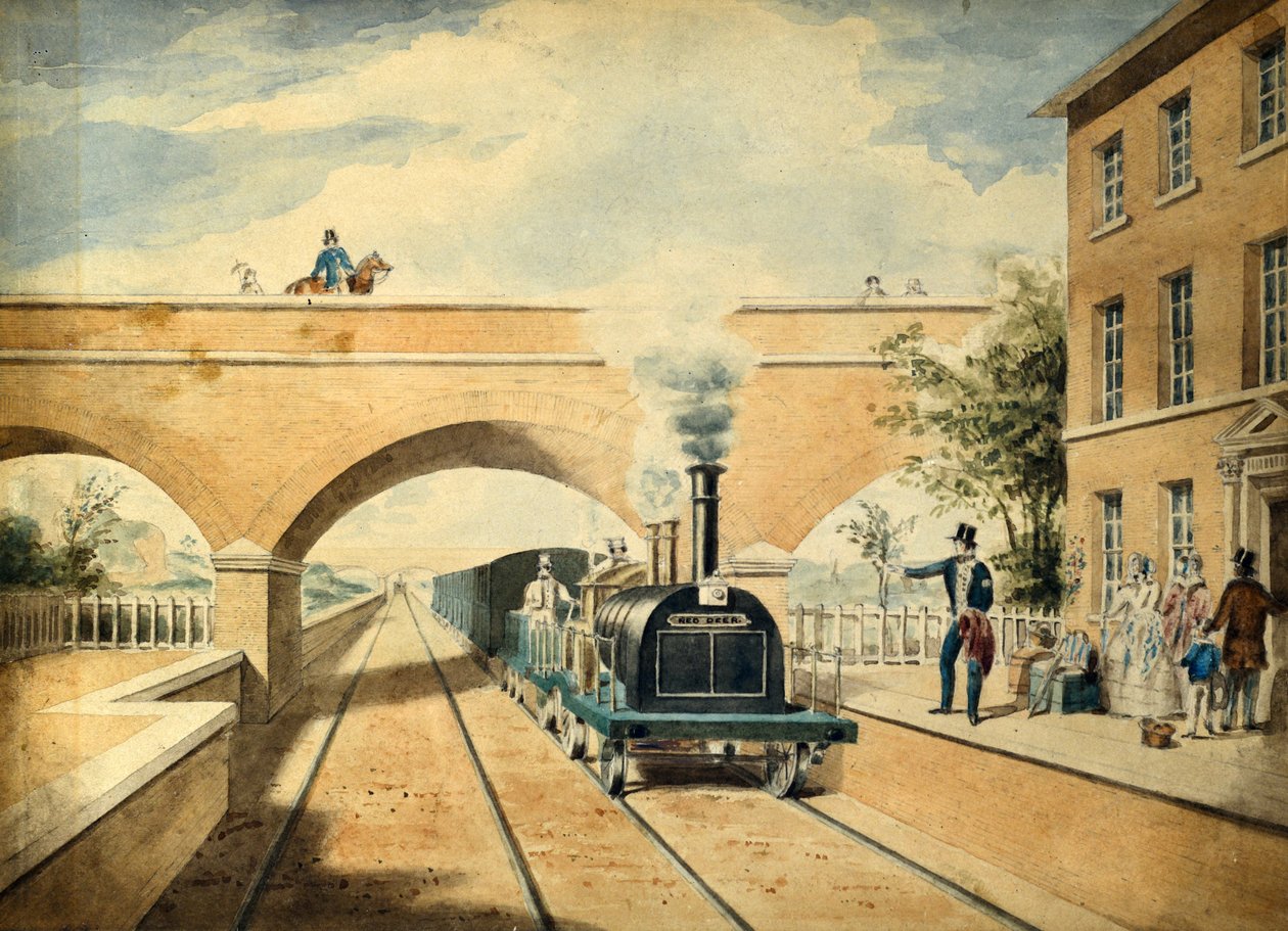 Veado vermelho, c.1850 (aguarela sobre papel) de Unknown artist