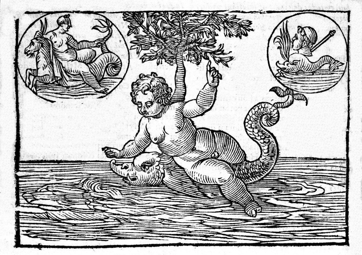 Representação de Ino, deus do mar, e de seu filho Palemon. Gravura de "Mythologiae sive explicationes fabularum" da Natalis Comitis. 1637. de Unknown artist