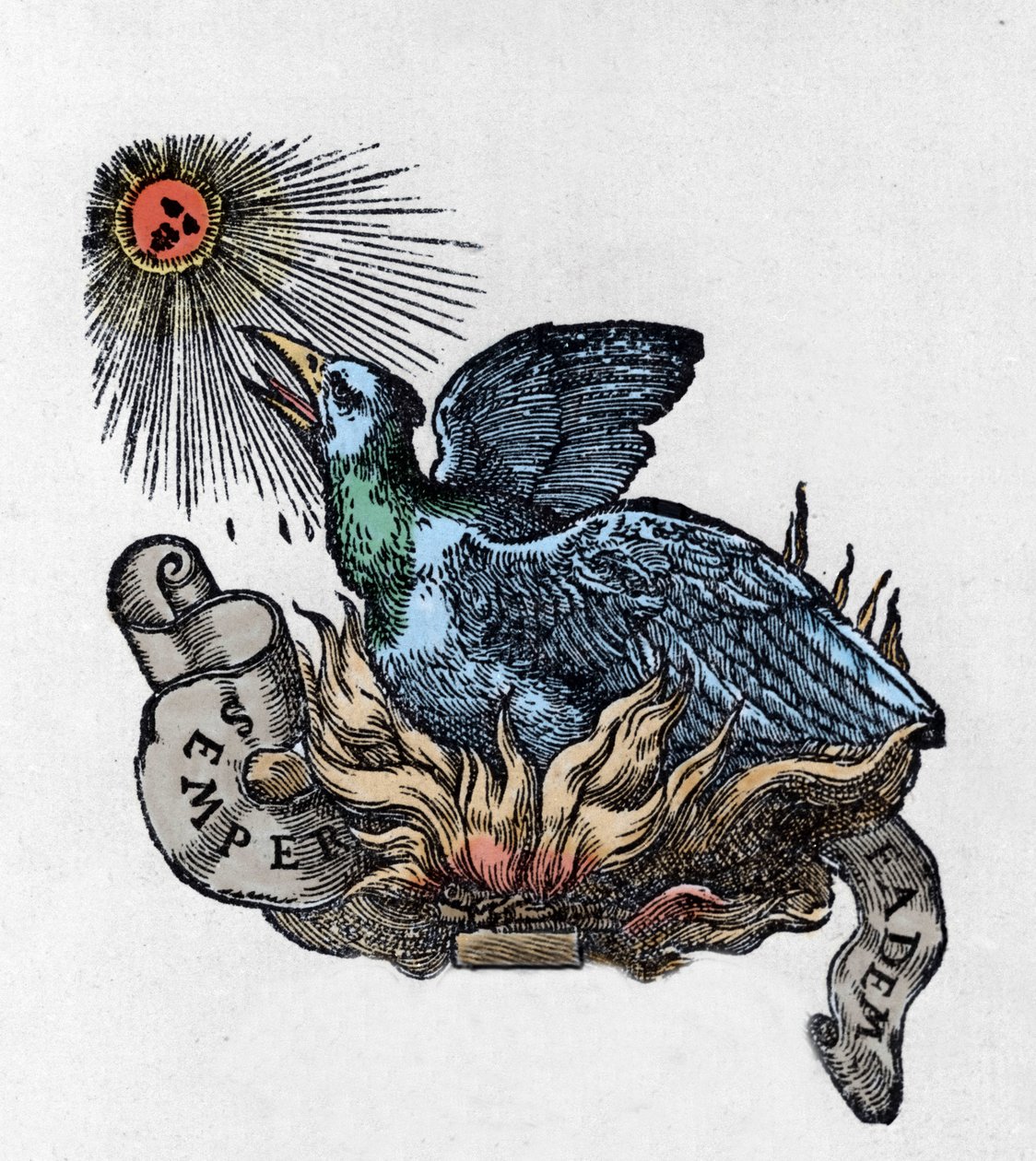 Representação de um Phénix (ou fênix), ave lendária, renascida de suas cinzas. Gravura do século XIX de Unknown artist