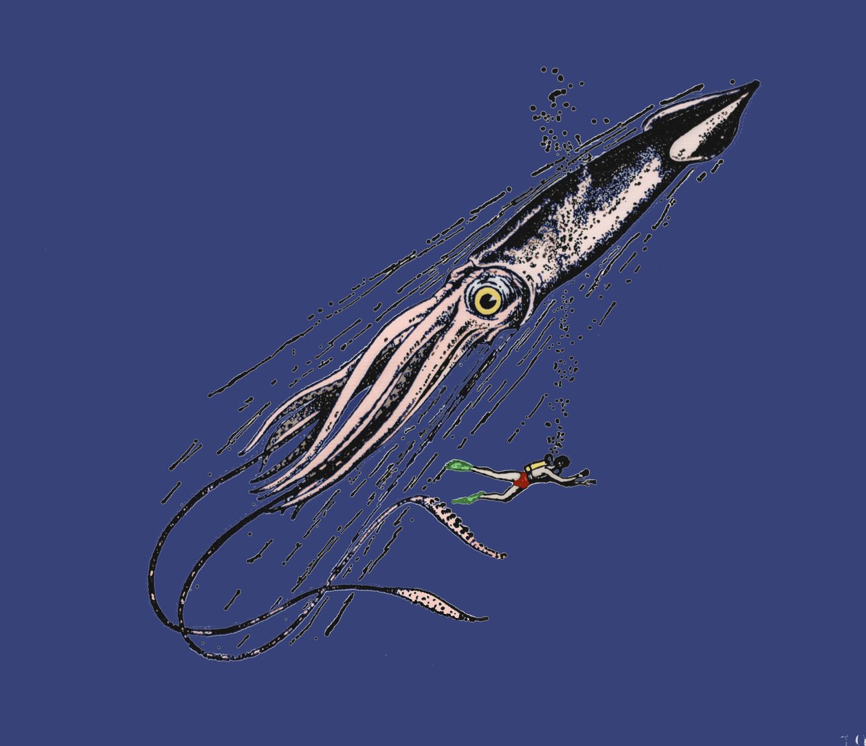 Representação de uma lula gigante (Architeuthys) na escala humana. Século XIX de Unknown artist