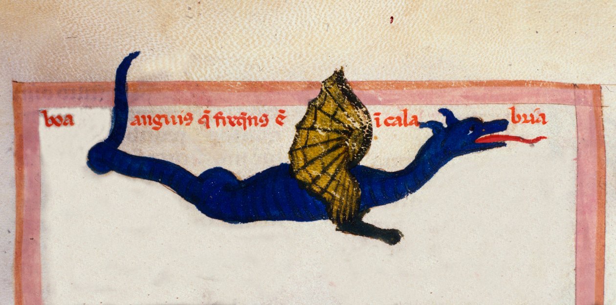 Representação de um dragão de asas em miniatura retirado de "Cosmographia" por Julius Solinus de Unknown artist
