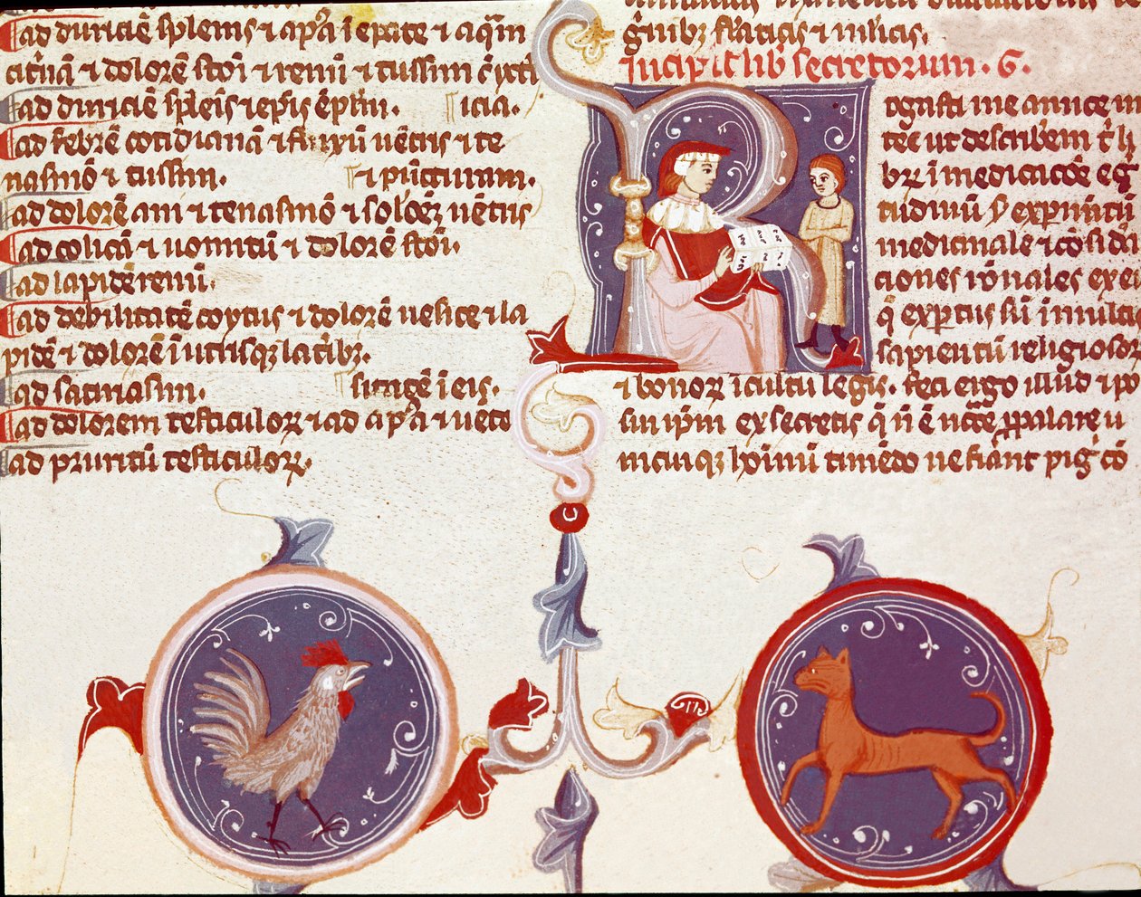 Representação de um galo e um gato, nos dois primeiros personagens, provavelmente o tradutor que apresenta o seu trabalho ao médico. (miniatura de Unknown artist