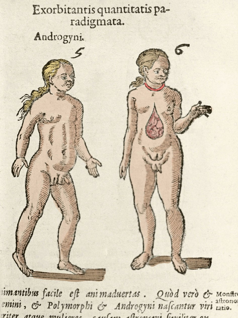 Representação de um andrógino e de um hermafrodita. Placa tirada de De natura Divinis caracteris" por Cornelio Gemma 1575 de Unknown artist