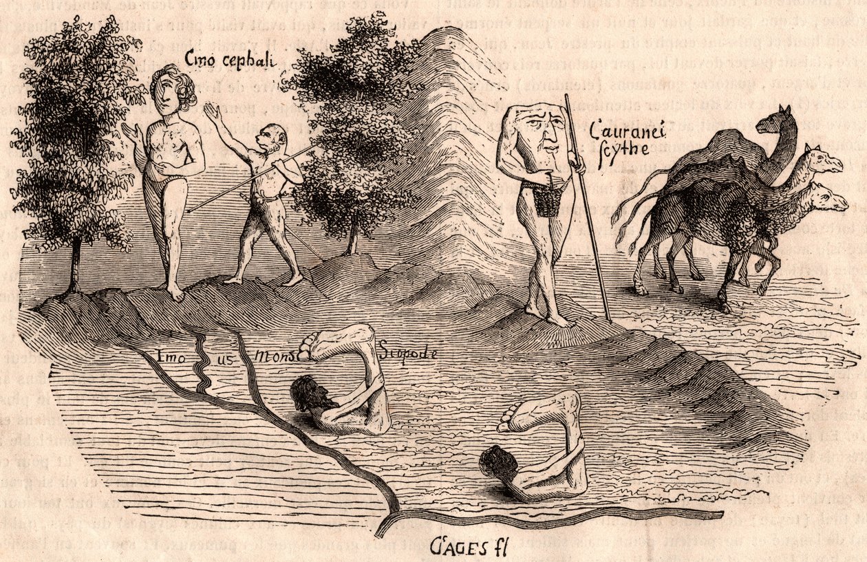 Representação de tribos medievais e espécies animais: Monóculos, Blemmys, Sciopodes e camelos de Unknown artist
