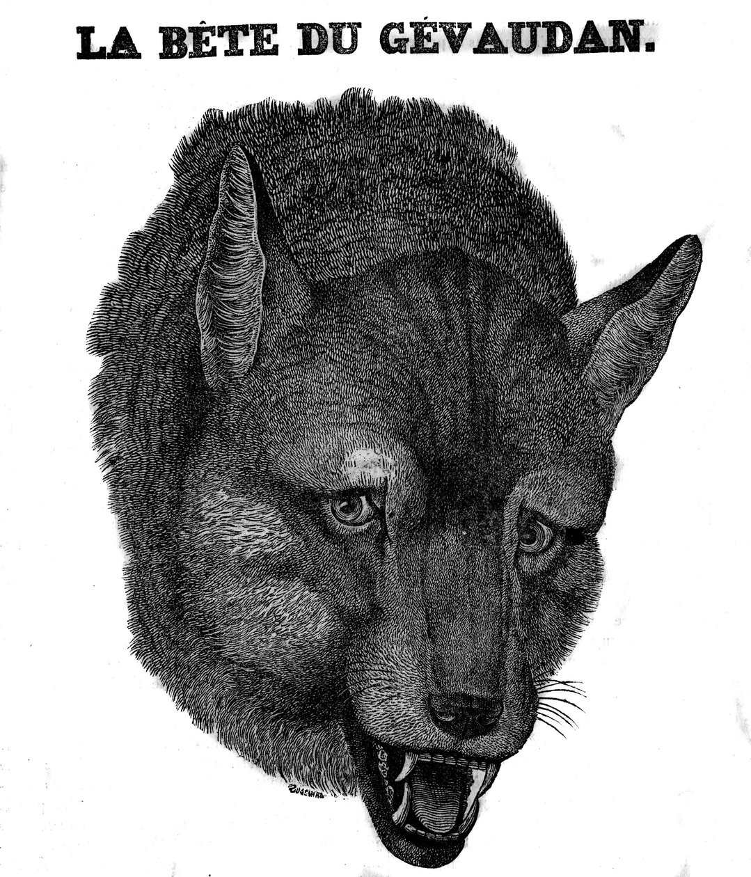 Representação do Bete du Gevaudan. de Unknown artist