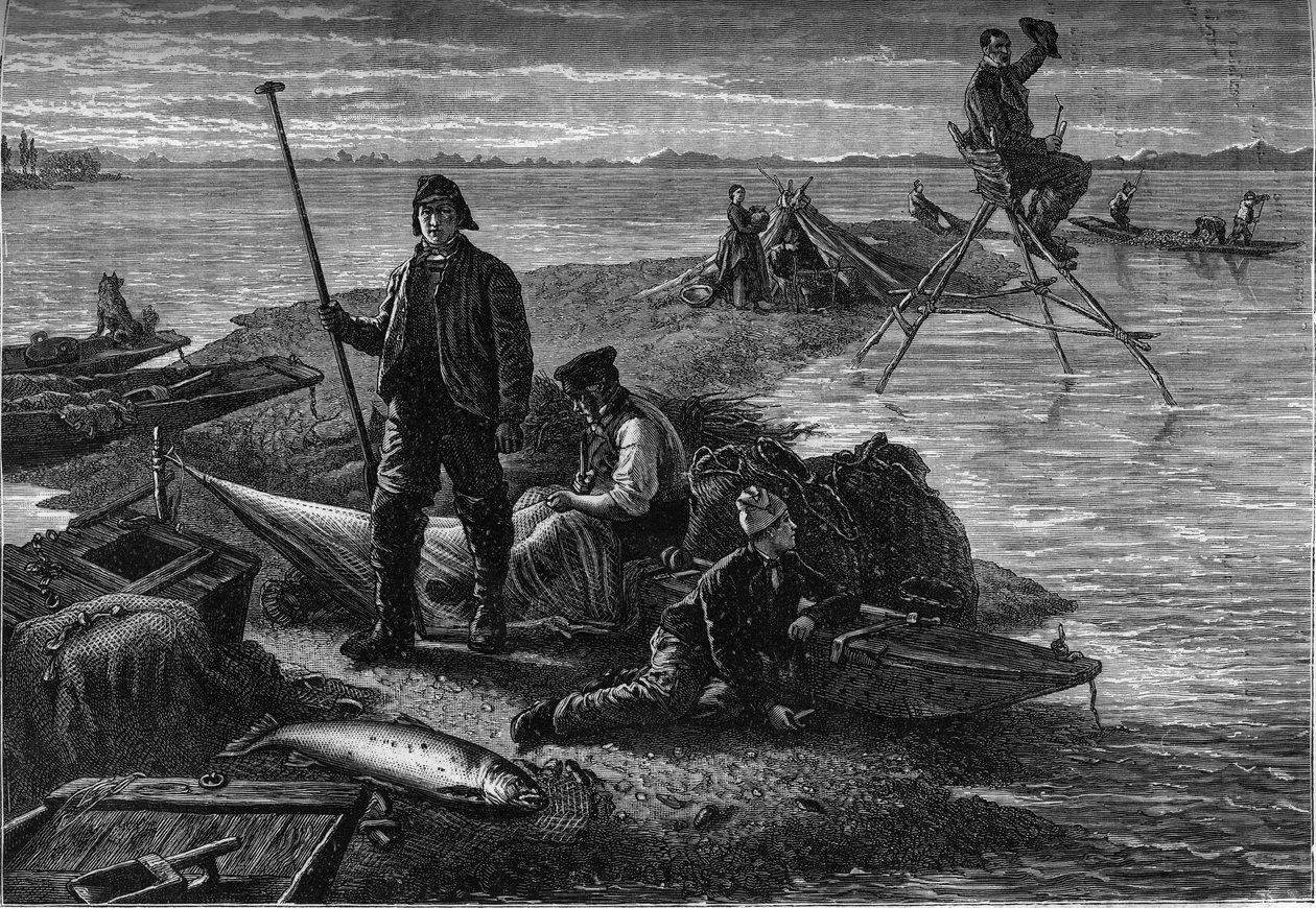 Regresso da pesca do salmão às margens do Reno. Gravação na revista "La jeunesse de Unknown artist