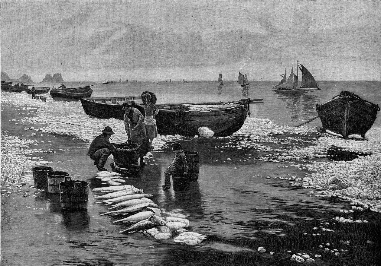 Regresso dos pescadores na greve em Belle Isle (Belle-Isle), na Bretanha. Gravação no "Le Journal de la jeunesse". de Unknown artist