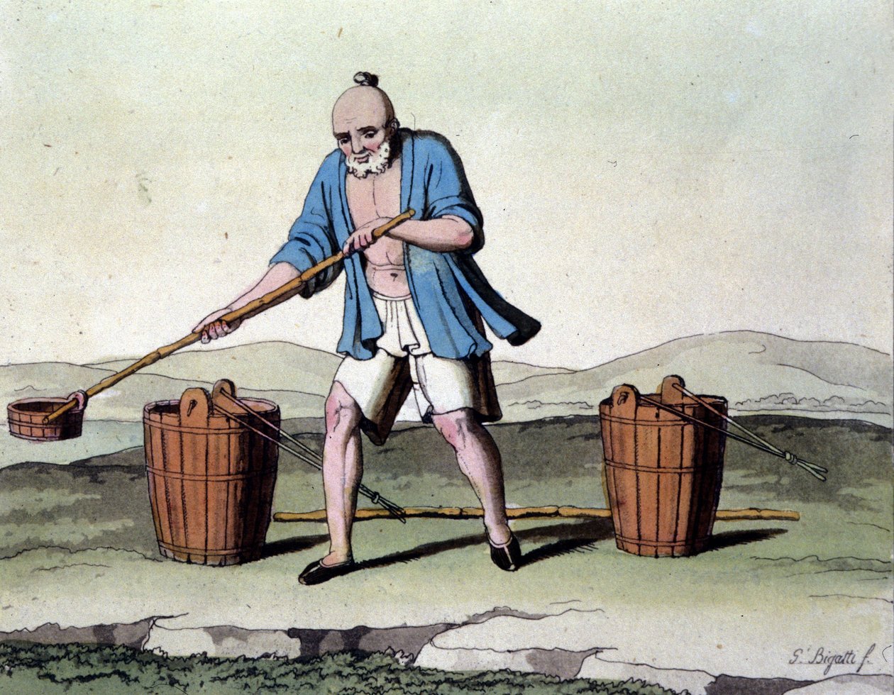 Cultivo de arroz na China. Impressão do século XIX. de Unknown artist