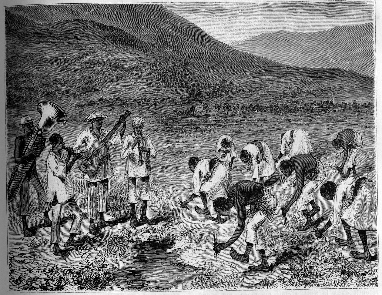 Plantação de arroz nas Filipinas. Gravura no "The Youth Journal". de Unknown artist