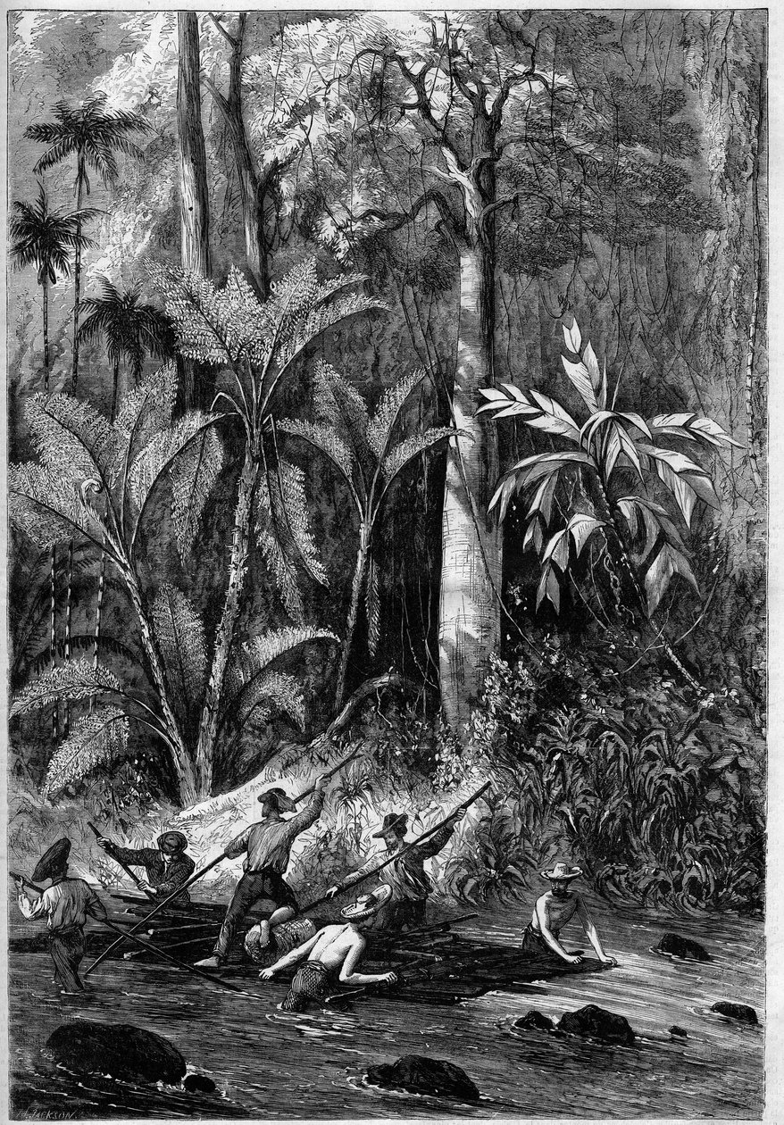 Desenvolvimento rodoviário na América Central: Atravessando o Istmo do Panamá. Jangada descendo o curso do Rama. De um desenho de um oficial de expedição do Capitão Bedford Pim. Gravura em "O Universo Ilustre". de Unknown artist