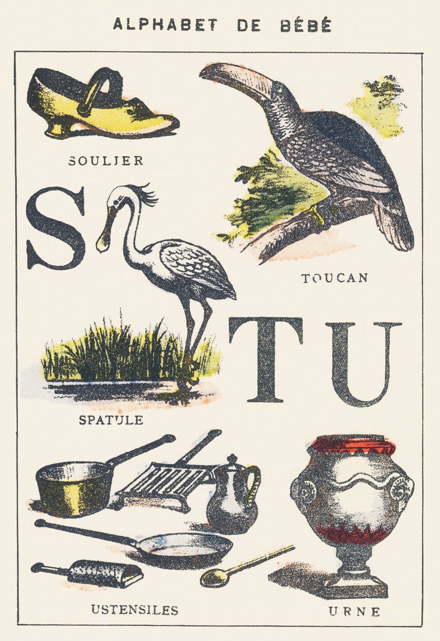 STU: sapato, espátula, tucano, utensílios, urna de Unknown artist