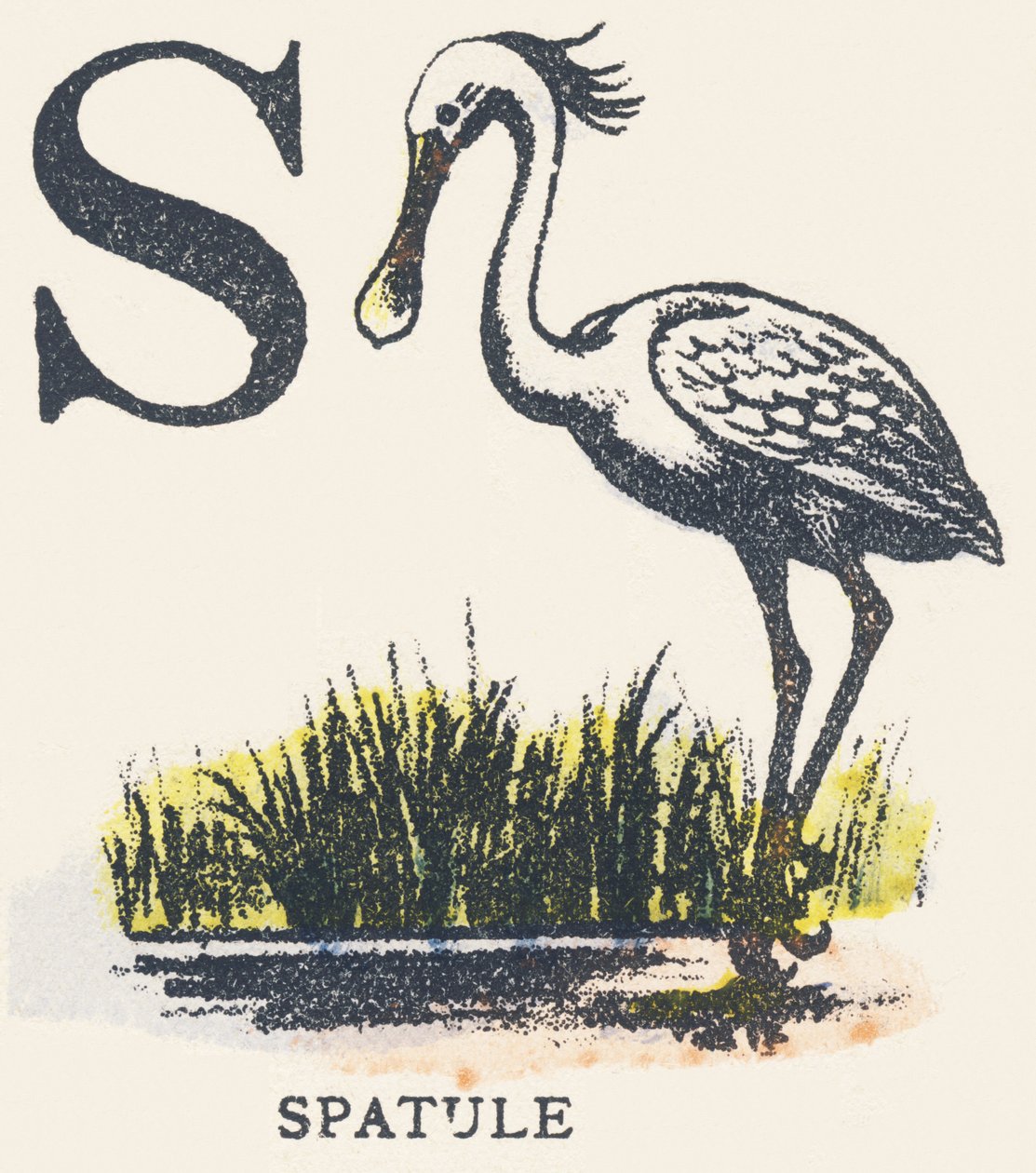 S: espátula de Unknown artist