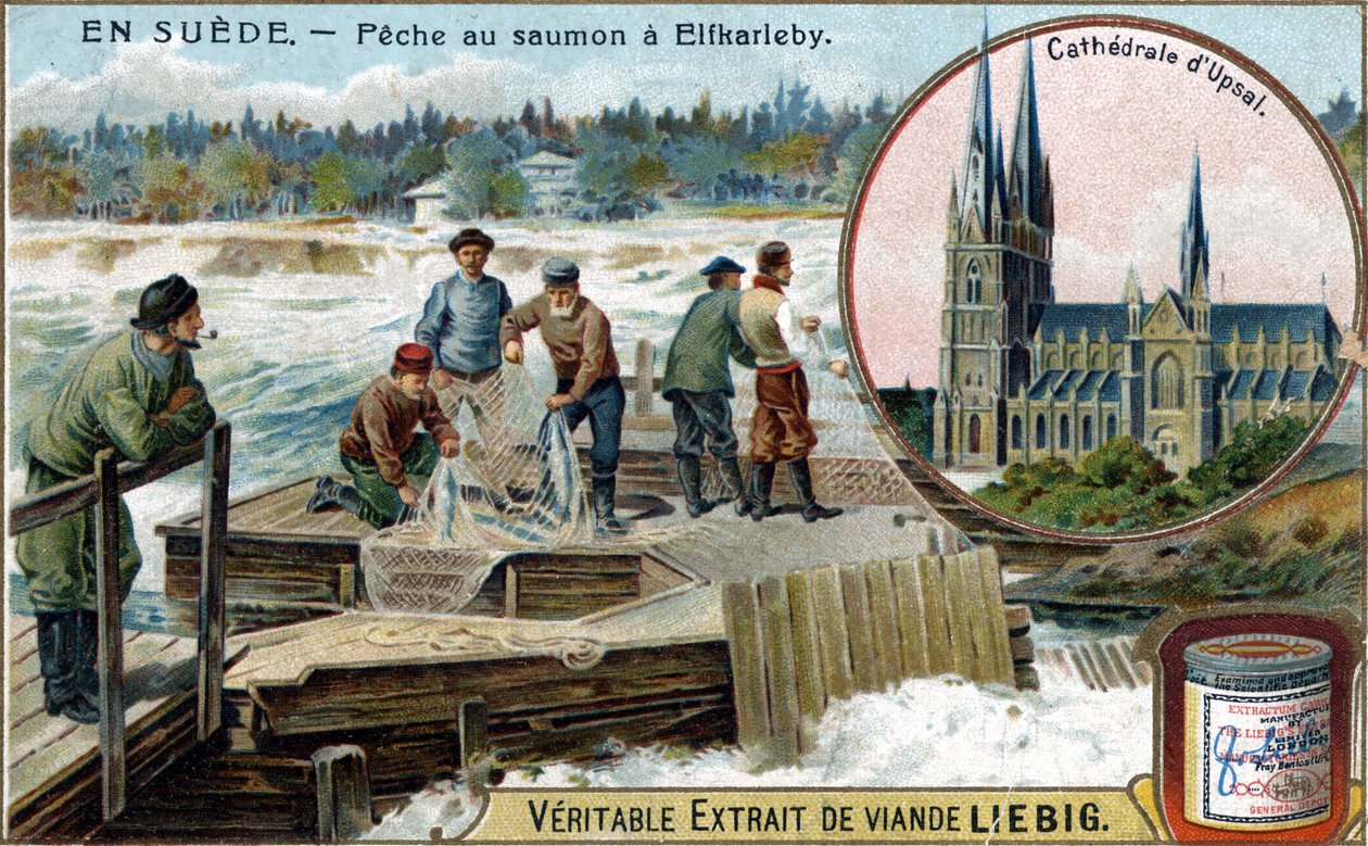 Pesca do salmão em Elfkarleby, Suécia. Cromolitografia, imagem de Liebig. de Unknown artist