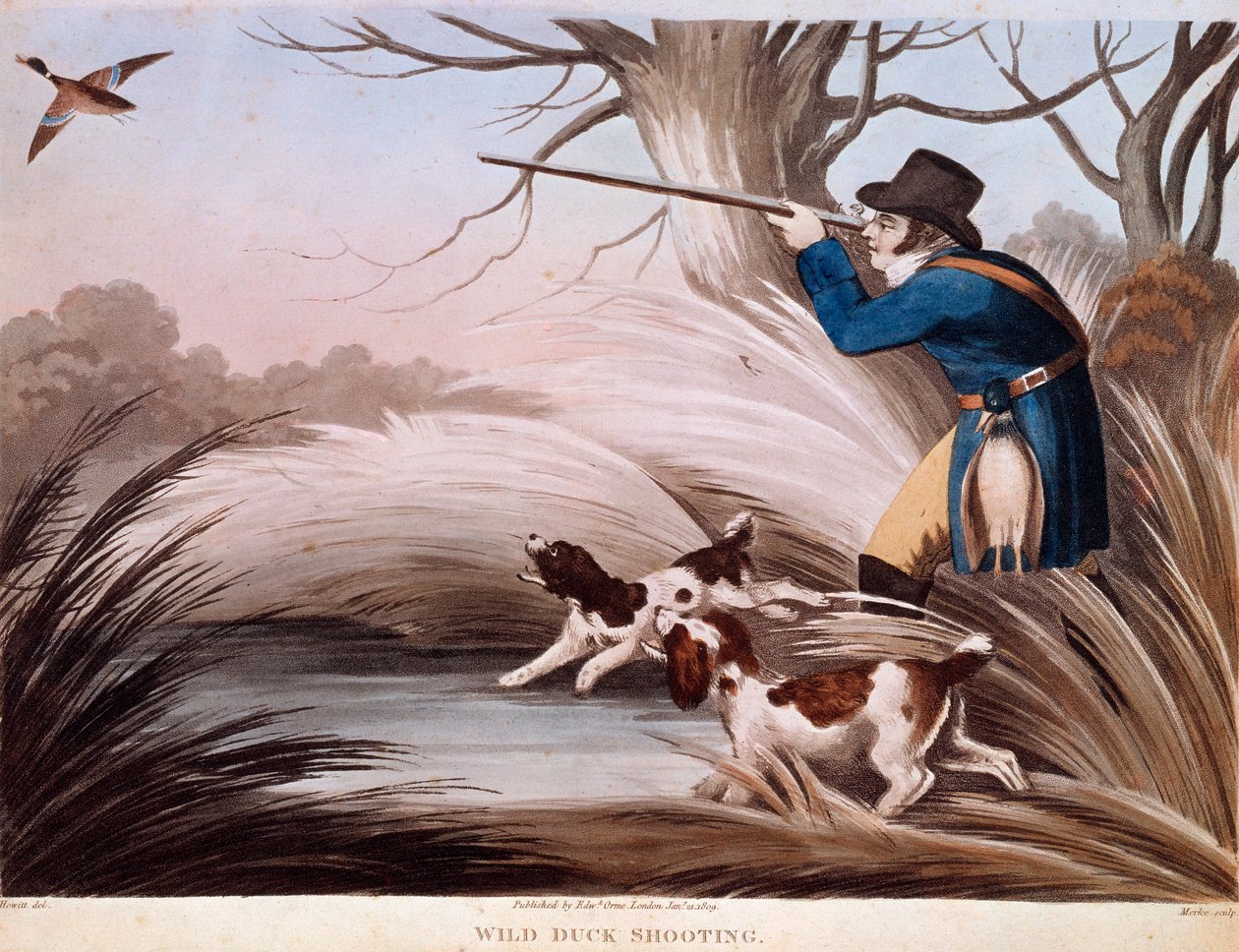 Cena de caça ao pato na Inglaterra. Litografia do século XIX Gien, museu da caça de Unknown artist