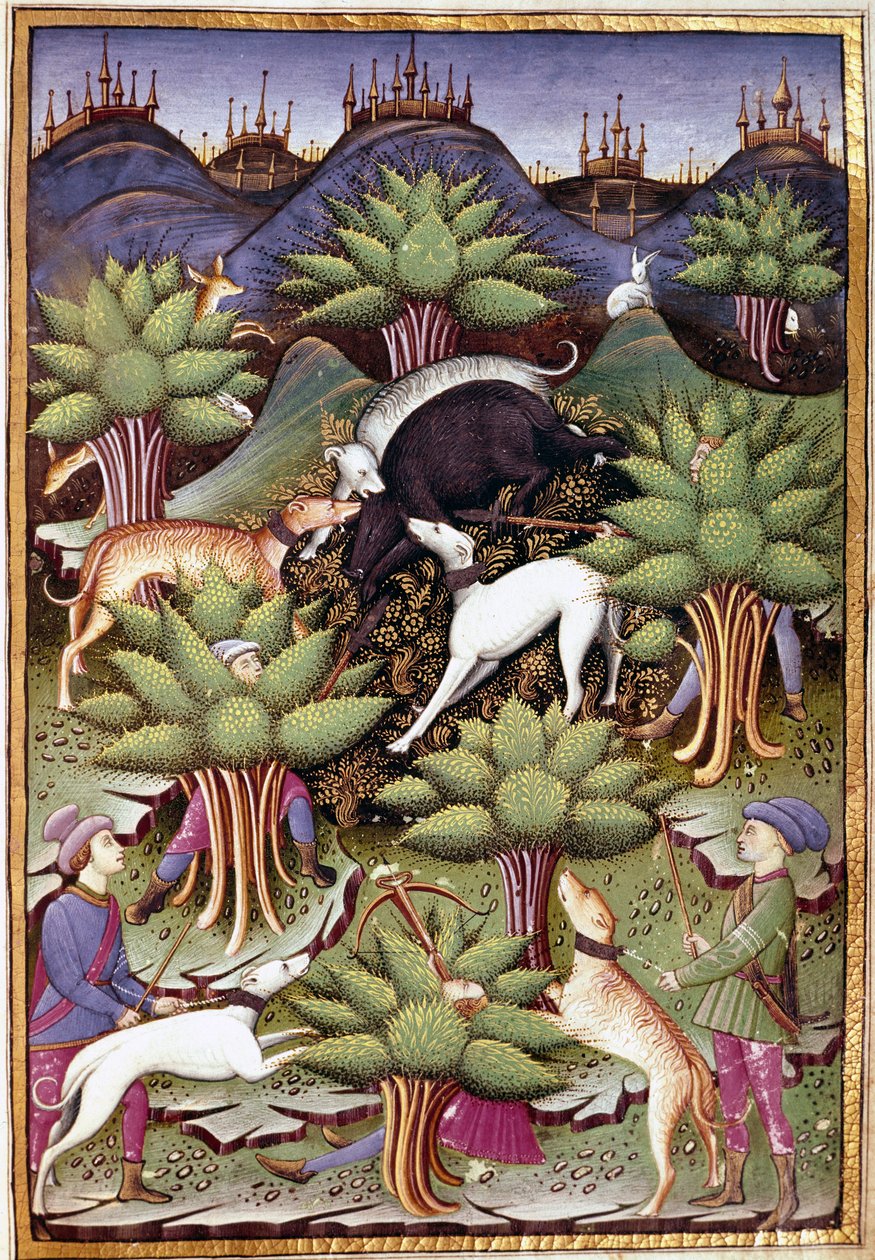 Cena de caça ao javali selvagem Miniatura de "Treat falconry and venerie with the motto and emblema of the Duke of Sforza" 1459 (ms. 1375) Chantilly, Musee Conde de Unknown artist