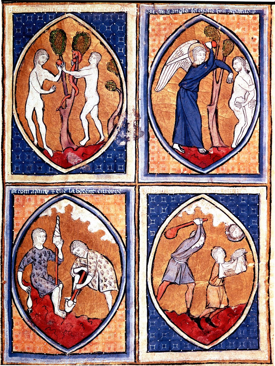 Cenas da Bíblia representadas em mandíbulas. Adão e Eva apanhando o fruto proibido, e depois caçando do céu. Lá em baixo Adão trabalha a terra e Eva dá a lã, Caim e Abel. Miniatura de um manuscrito do século XIII. Porto, Biblioteca Municipal de Unknown artist