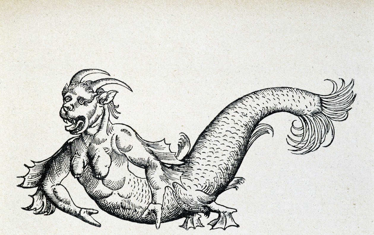 Diabo do mar, supostamente capturado no Mar Adriático no início do século XV - segundo Gesner de Unknown artist