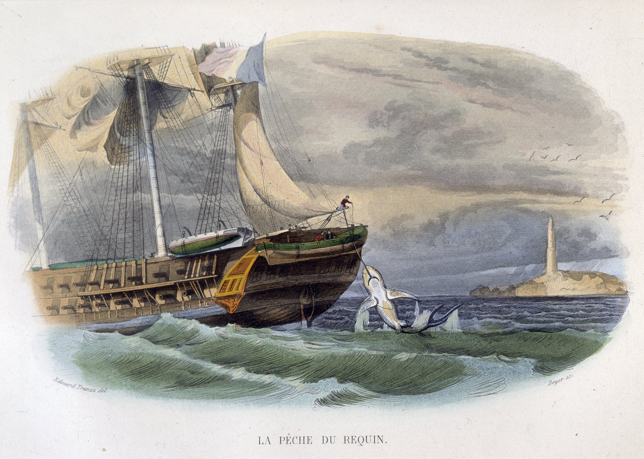 Pesca do tubarão - na "História natural de Lacepède de Unknown artist