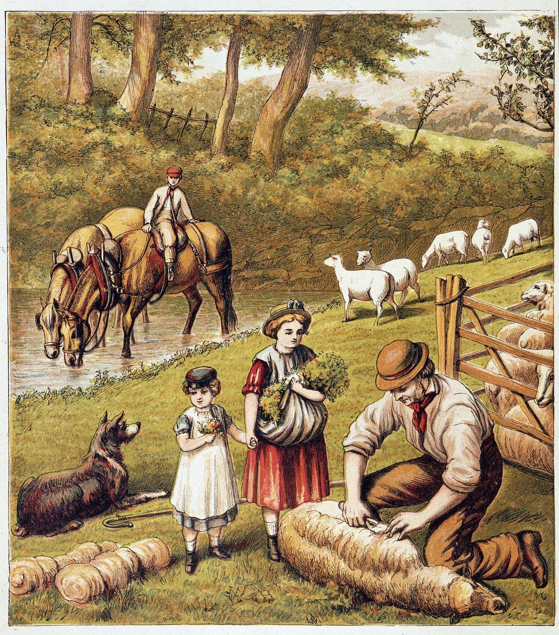 Corte de ovelhas - cromolitografia de Unknown artist