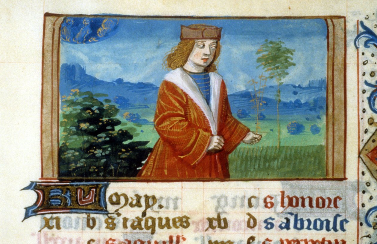 Signo de Gêmeos e Homem nos Campos - Miniatura, Idade Média: Pedido de permissão da Biblioteca Municipal de Toulouse (tel: 05 62 27 66 66) de Unknown artist