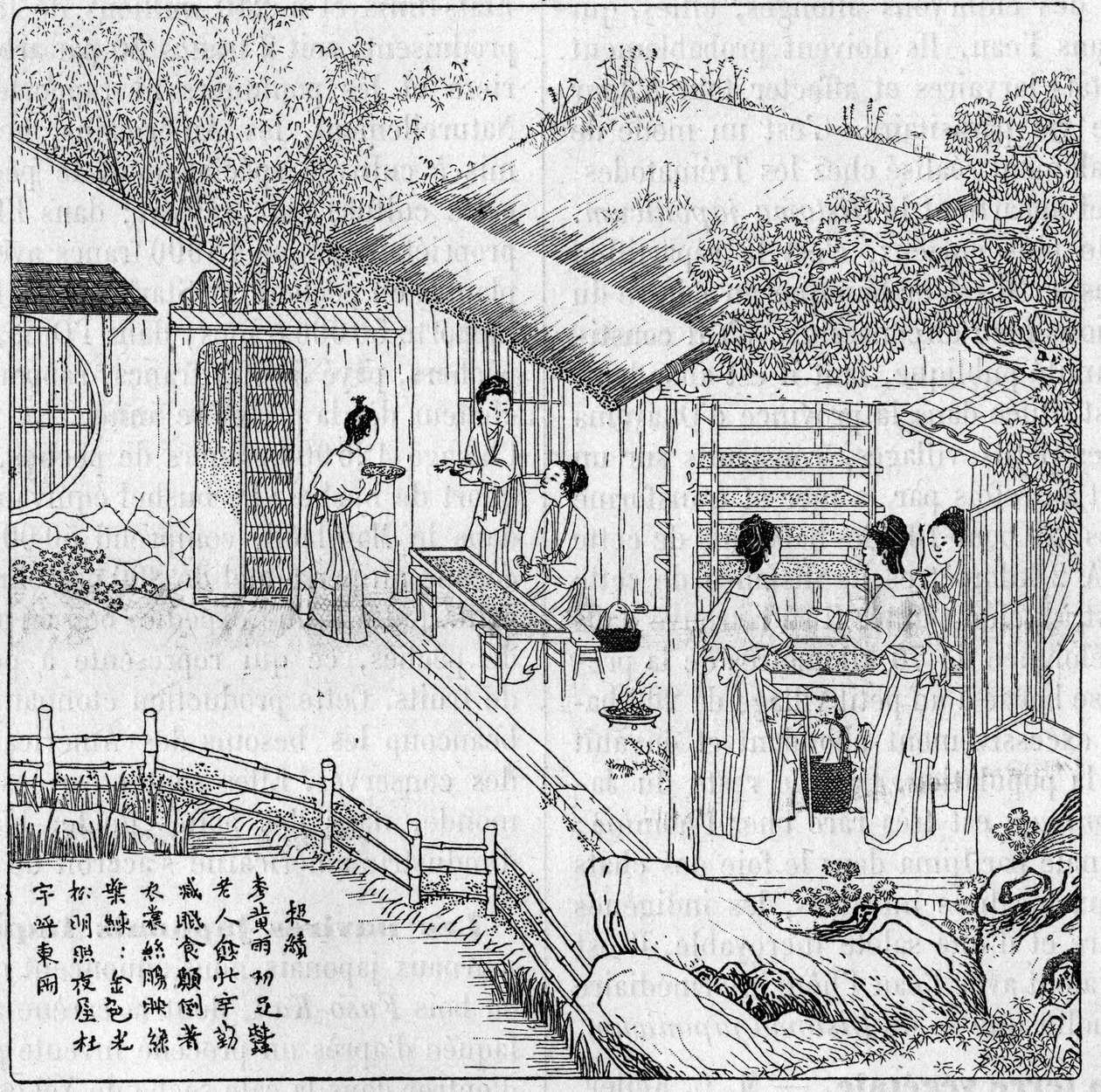 Seda e bicho-da-seda na China: Separação da minhoca que quer girar. Gravura em "La Nature: Revue des sciences et de leurs applications aux arts et a l