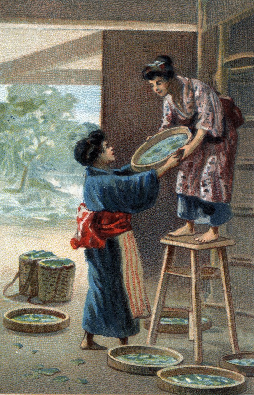 Criação de bichos-da-seda num íman japonês. Cromolitografia do final do século XIX. de Unknown artist