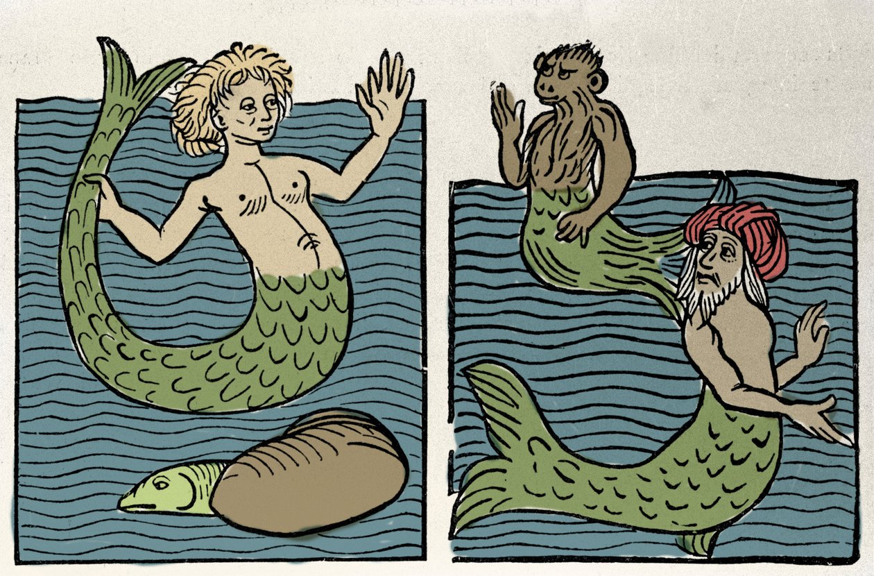 Sirene ou Virgem do Mar, Macaco e Turco Marinho. Gravura de "Hortus sanitatis". de Unknown artist