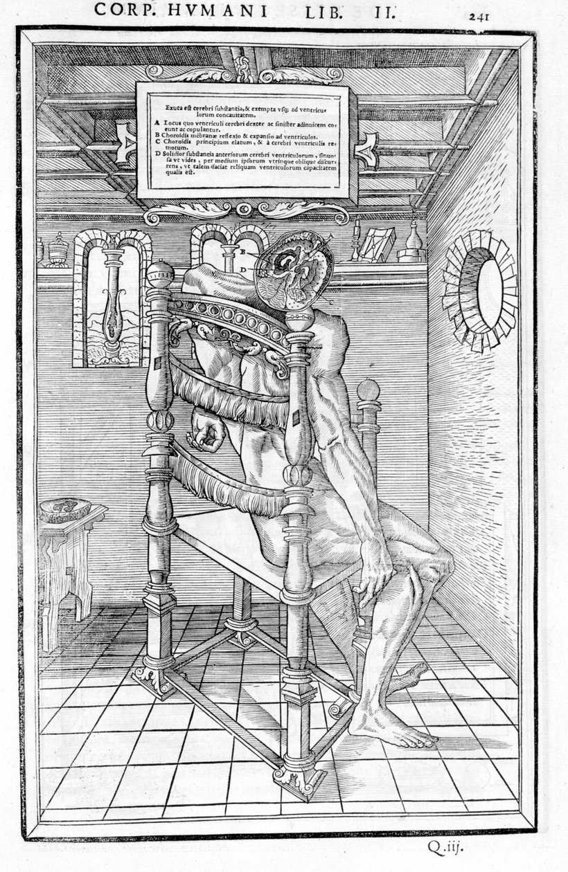 Corte no crânio. Quadro anatómico de "De dissectione partium corporis humani lbri tres..." Carlo Stefano Riverio, Paris 1545 de Unknown artist