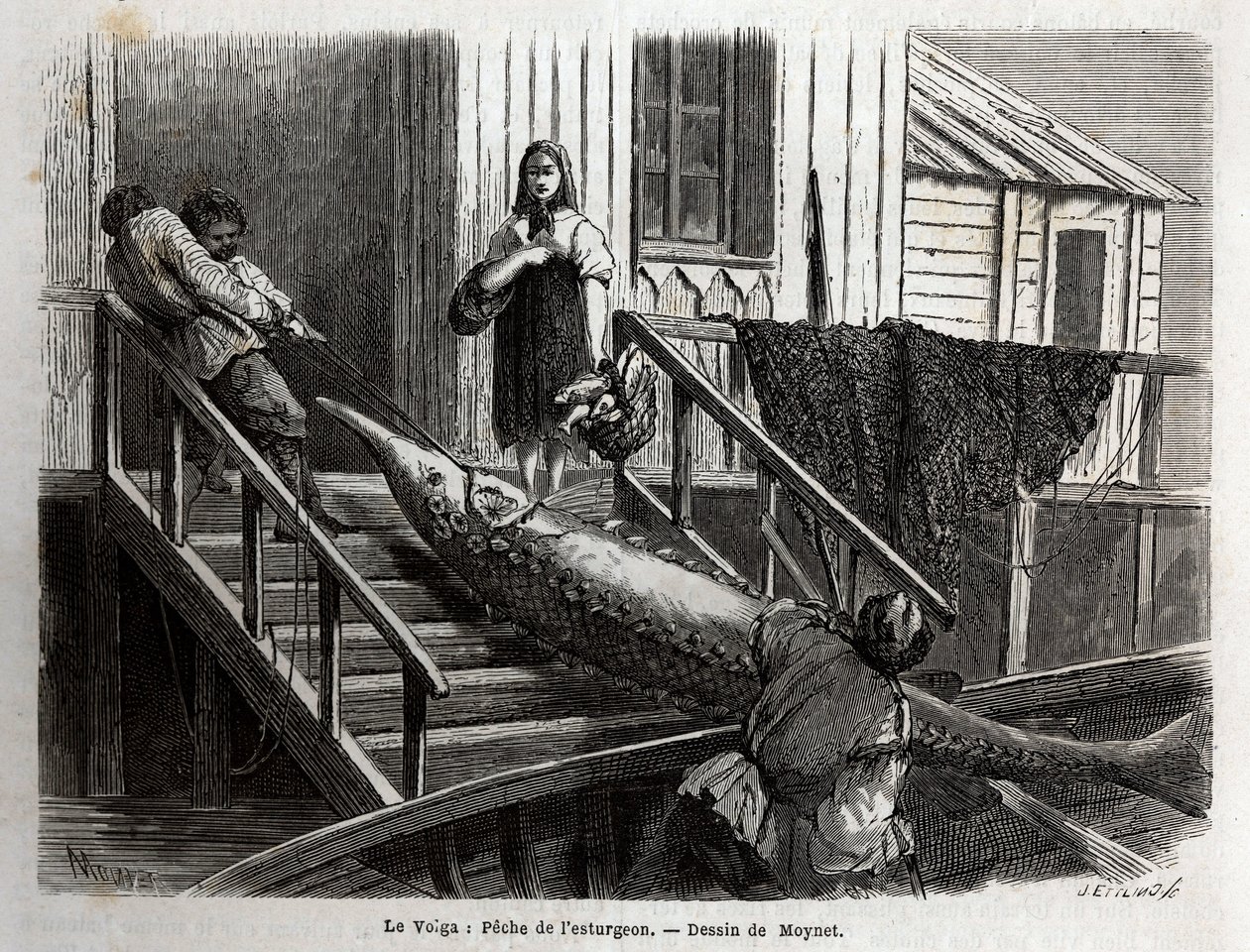 A pesca do esturjão na foz do rio Volga. Gravura para ilustrar a viagem no Volga de M.Moynet, em 1864, no "Le tour du monde, nouveau journal des voyages" publicado sob a direcção de Edouard Charton de Unknown artist