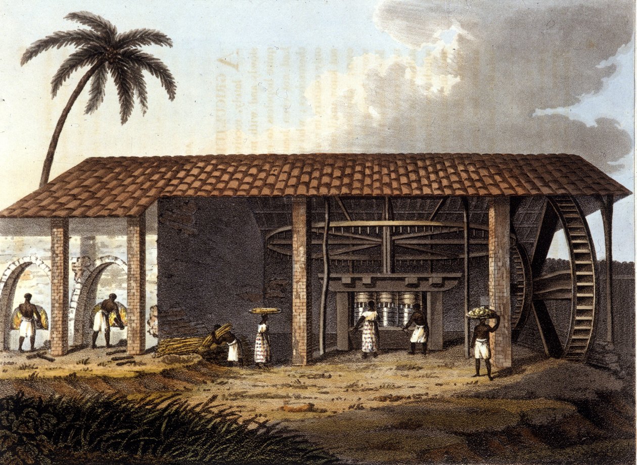 Engenho de açúcar, Antille de Unknown artist