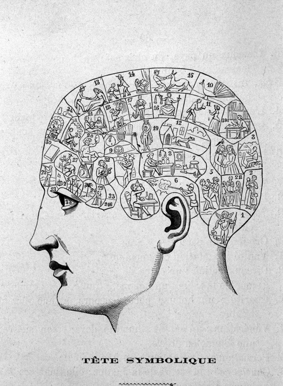 Cabeça simbólica. ilustração do livro de Charles Rouvin de 1873 La Tête humaine, estudos ilustrados de frenologia e fisionomonia aplicados a personagens famosos Paris 1873 de Unknown artist