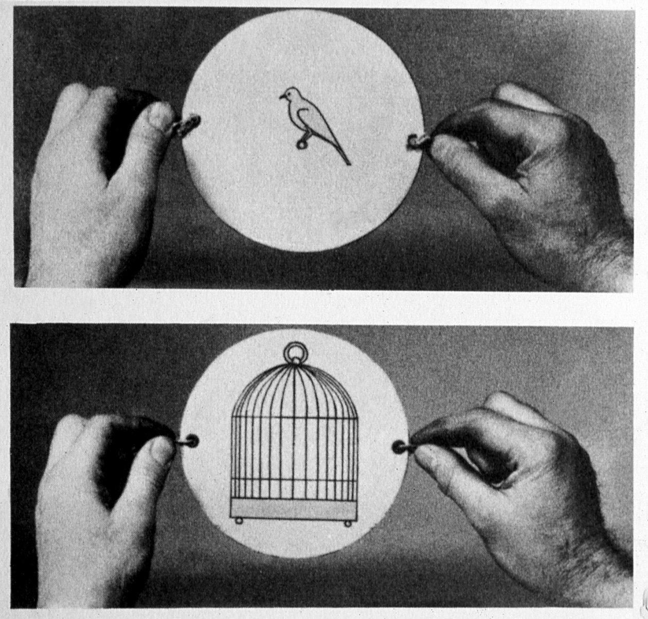 Thaumatrope: em 1825 John Ayrton Paris comercializou o seu disco mágico o taumatrope (roda milagrosa), de um lado é desenhada uma gaiola vazia, do outro uma ave, o disco é segurado por um cordel. Ao virá-lo, temos a ilusão de que o pássaro está na gaiola e de Unknown artist