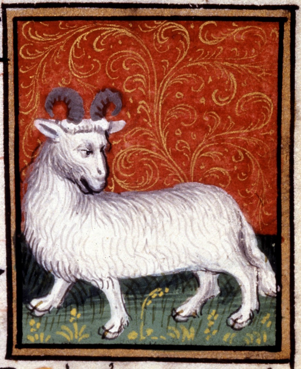 Os Aries. Miniatura de um horóscopo. Manuscrito do século XV. Biblico. Trivulziana, Milão. de Unknown artist