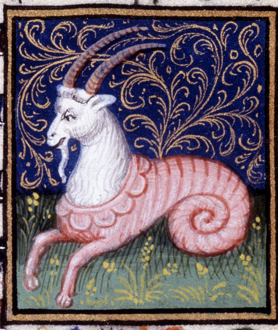 O Capricórnio. Miniatura de um horóscopo. Manuscrito do século XV. Biblico. Trivulziana, Milão. de Unknown artist