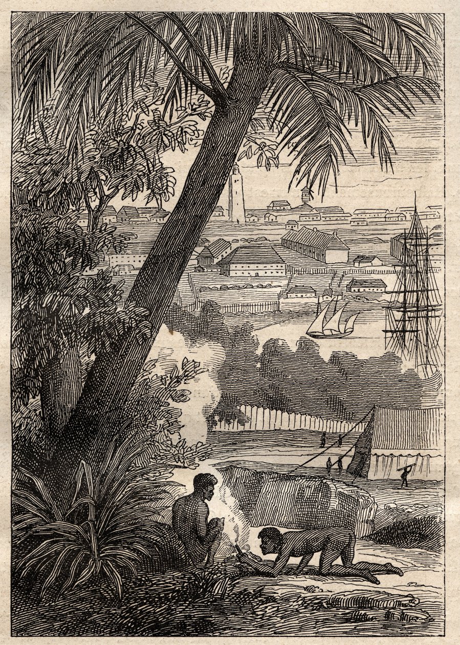 A Expedição às Terras do Sul (1800-1803) por Nicolas Baudin (1754-1803): Vista de Sydney (Austrália) - ilustração de "The Great Mariners of the 18 century" (Os Grandes Marinheiros do Século XVIII) de Unknown artist