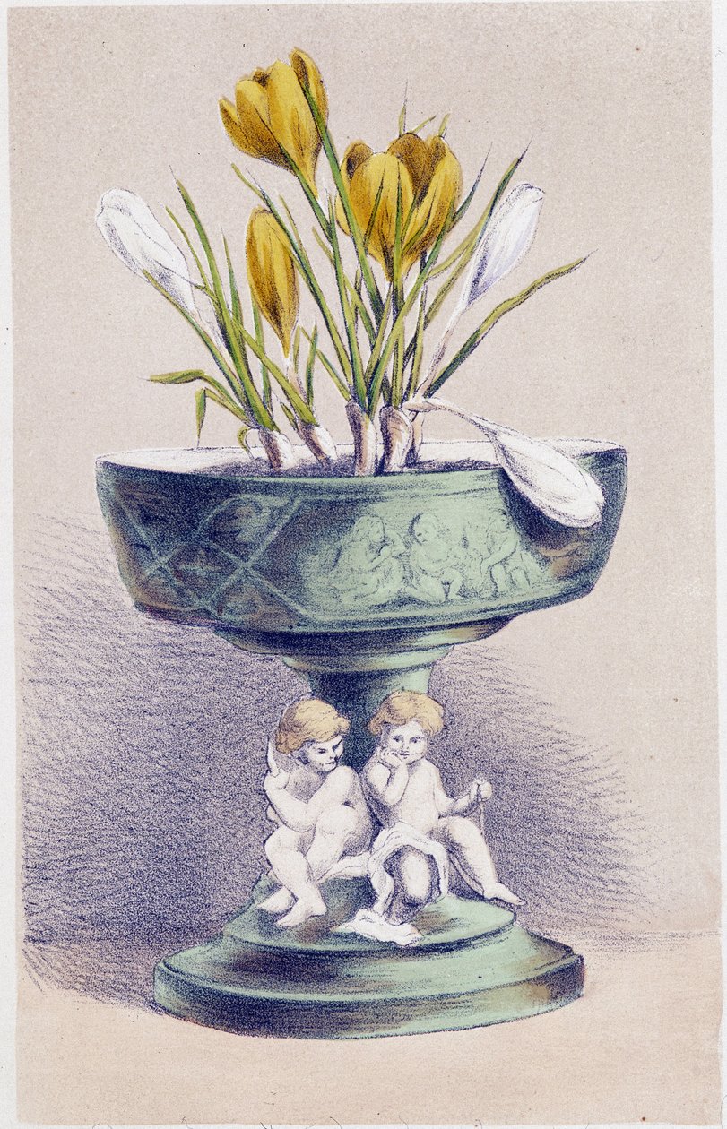 O Four Seasons: Primavera, Daffodils de Unknown artist