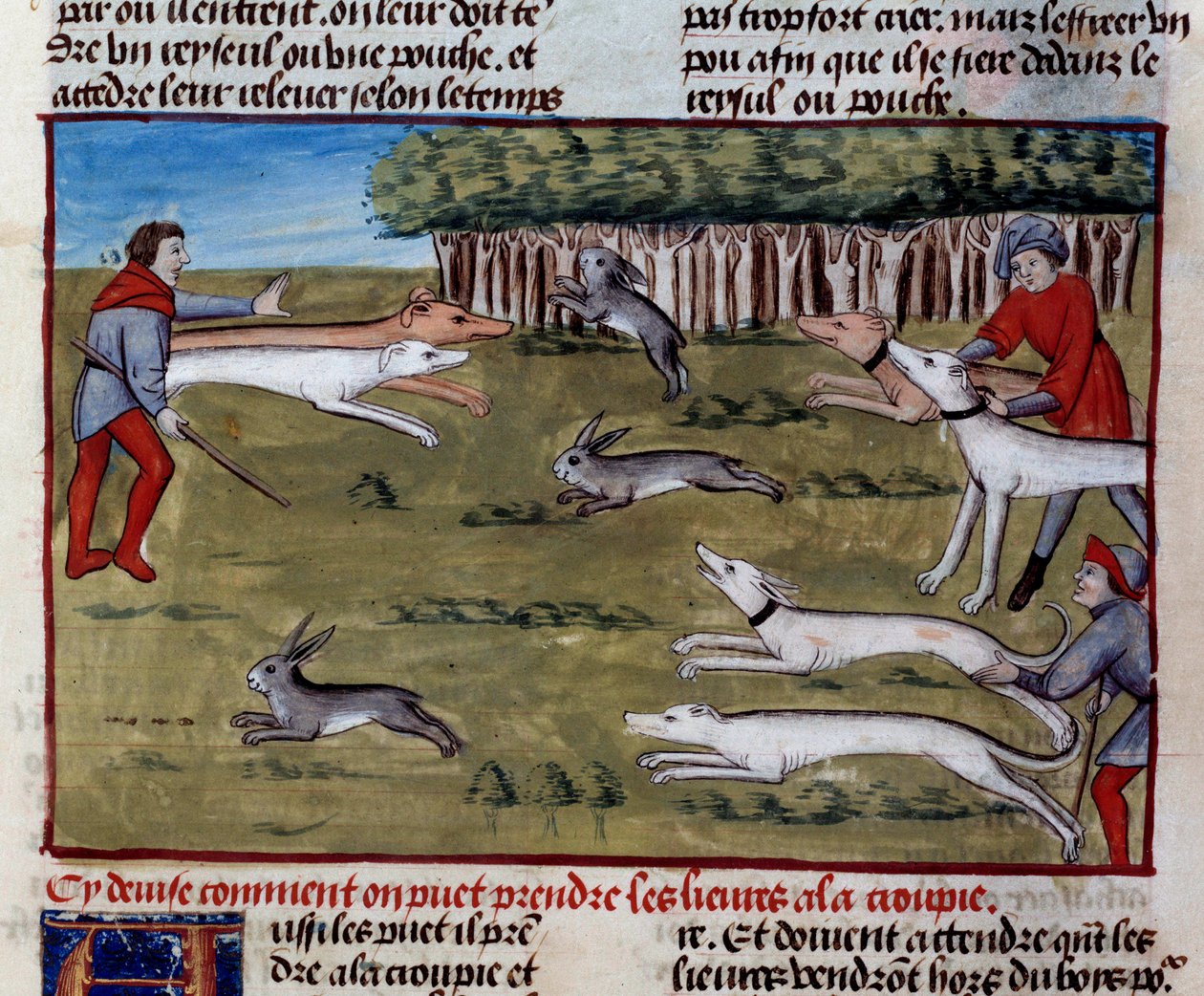 A Caça à Lebre Miniatura de "O Livro da Caça" de Gaston III Febus, Conde de Foix, Senhor de Bearn (1331-1391) de Unknown artist