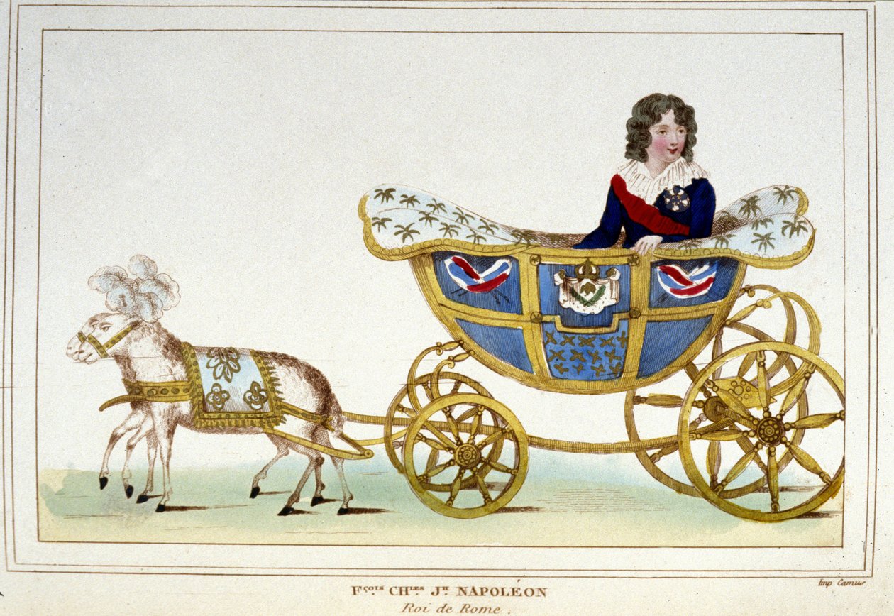 O Rei de Roma (Napoleão II) jovem rapaz, filho de Napoleão I. de Unknown artist