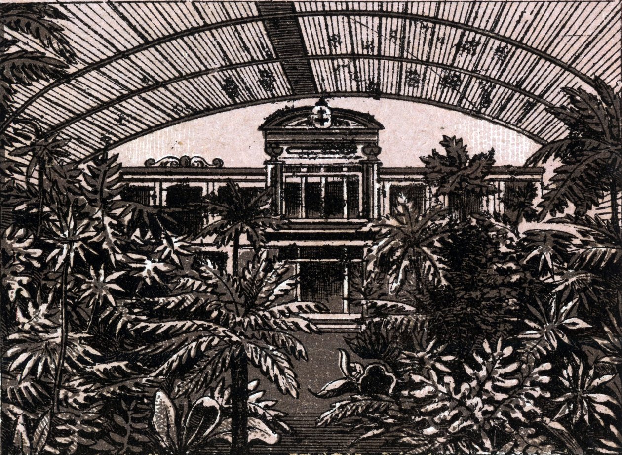 O Jardim das Palmeiras em Frankfurt, Alemanha (Frankfurt, Alemanha) em "The World Illustrates 168 Views" Sem data (final do século XIX) de Unknown artist