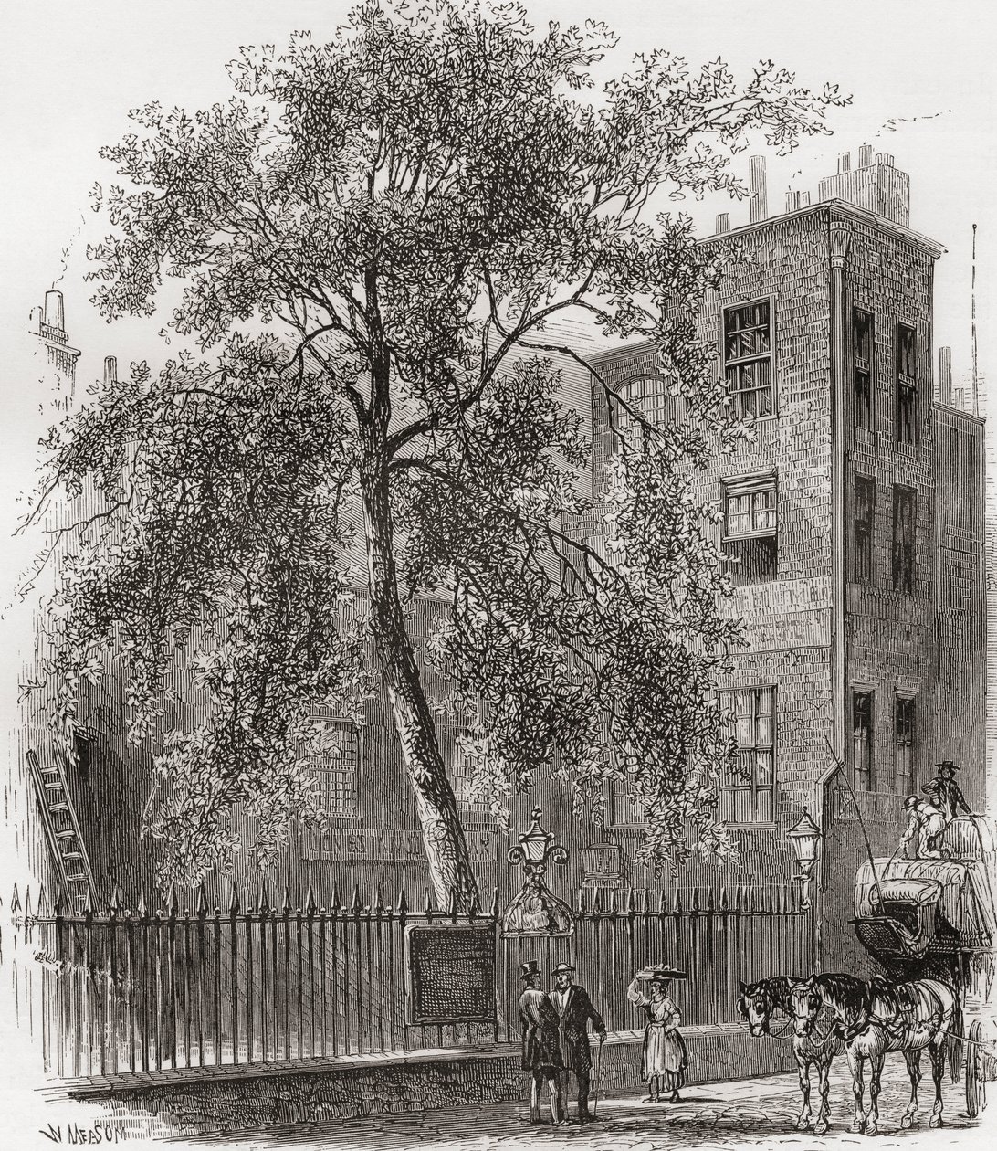 The Plane Tree, Wood Street, Cheapside, Londres, Inglaterra, no século XIX de Unknown artist