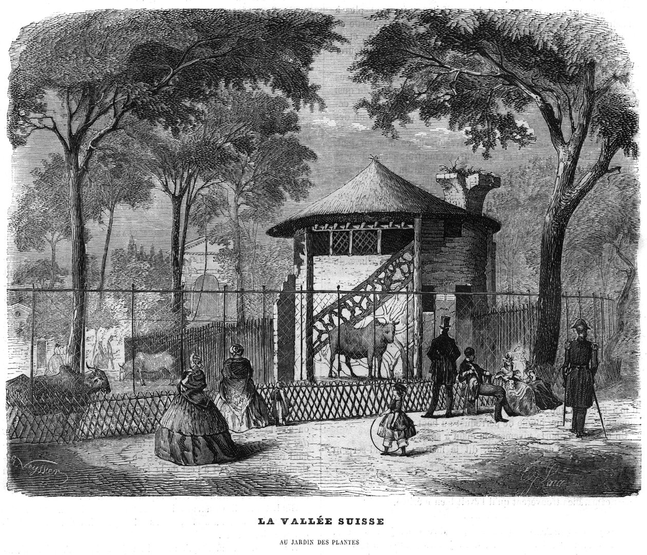 O vale suíço no jardim das plantas em Paris, em 1858. de Unknown artist